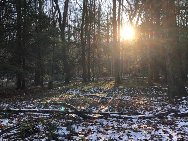 exploreVenango's tweet photo. Venango County Photo of the Day: Along the Overlook Trail. Submitted by Jeffrey Fonzo. https://t.co/Eu2e742BGz