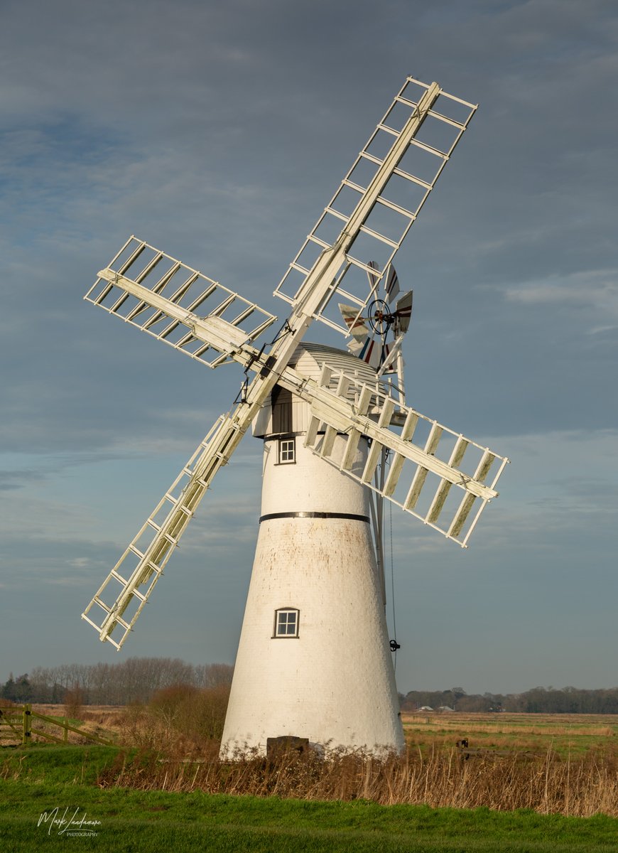 Mark Landamore Photography tweet media