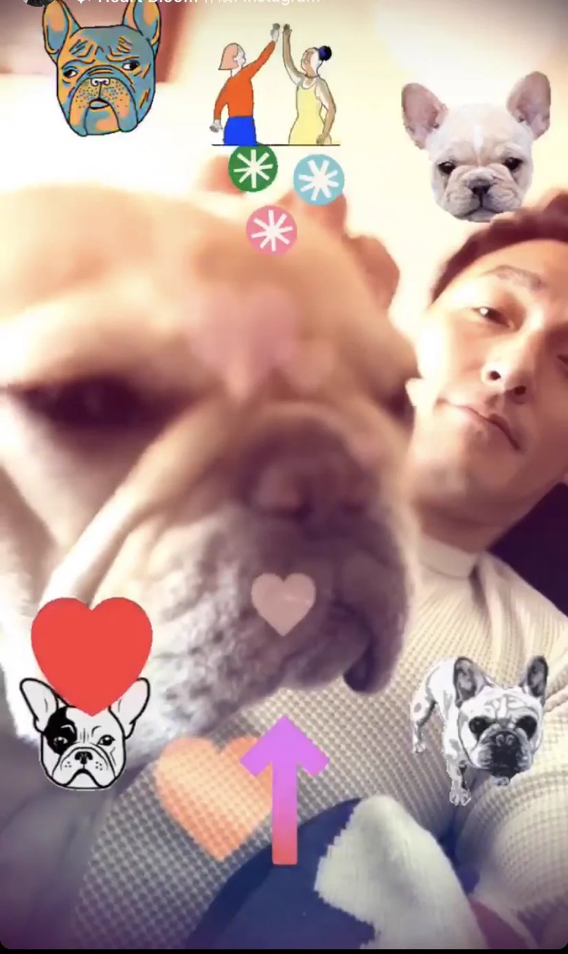 @ksngtysofficial 可愛すぎる💛😆🎶
クルちゃんお誕生日おめでとう💕
Happy☻໌*✰☻ັBirthday☆+｡:.ﾟ
#草彅くるみ3回目誕生祭_1230 