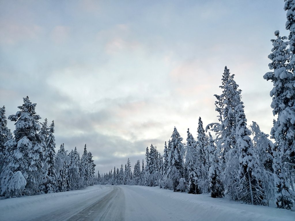 AmySolitudeStar's tweet photo. Its a beautiful place we live in😍 and great to see the sun for the first time in weeks☀️
#northernsweden #Sweden #roadtrip #holidays #family #Snow #polarnatt #polarnight https://t.co/hbPzj4Rnmb