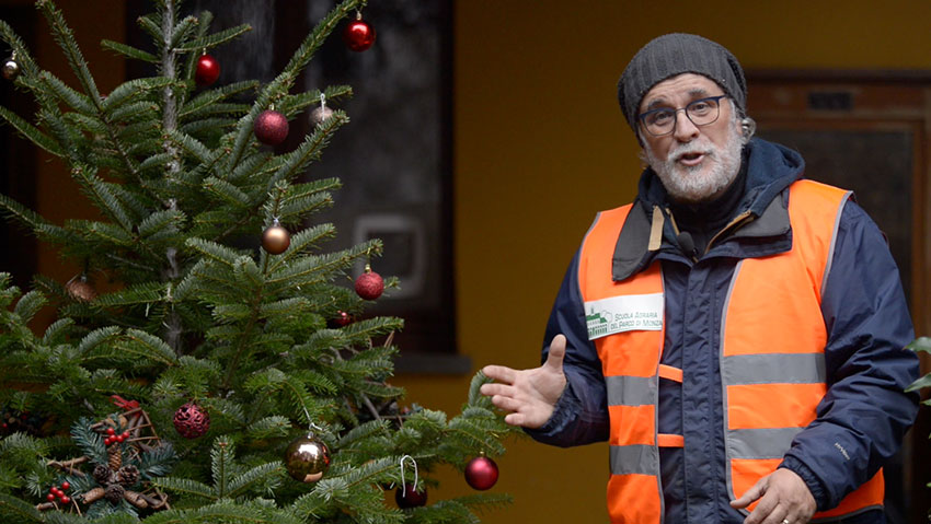 E dopo le feste? Cosa fare con l'albero di Natale, piantarlo o "buttarlo"? Guarda il video 📺 gardentv.it/albero-natale-…