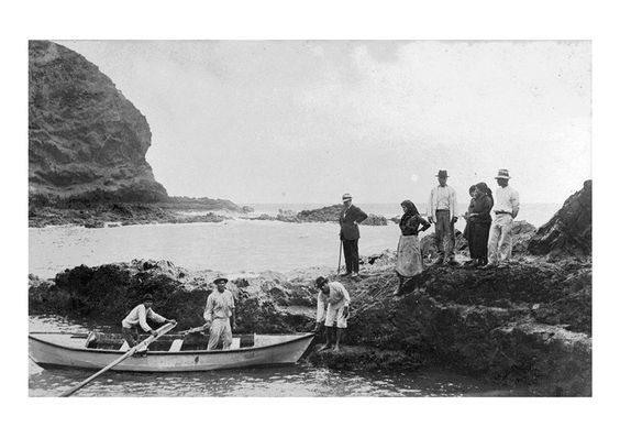 MedioAmbienteSC tweet media