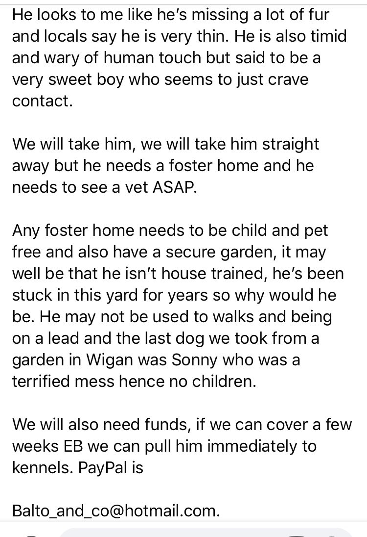 Please Help, this dog needs a child &amp; Pet free #Foster home to save him &amp; funds for emergency boarding. Please read his write up. My heart aches for this poor soul, let down by humans. #FosterFirst 😢😢