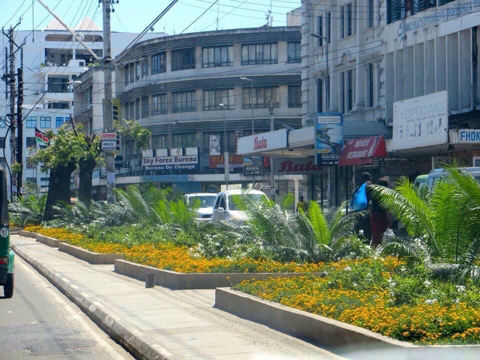 Emma999Too's tweet photo. The work we did.... all someone had to do was water and spray pesticides and fungicides to control disease, but no they felt it’s better to uproot everything! It’s cheaper and sustainable to maintain than to redo, what’s the point?😭
Why are we this way?!
#DigoRoad
#Mombasa https://t.co/jxQBH26R3x