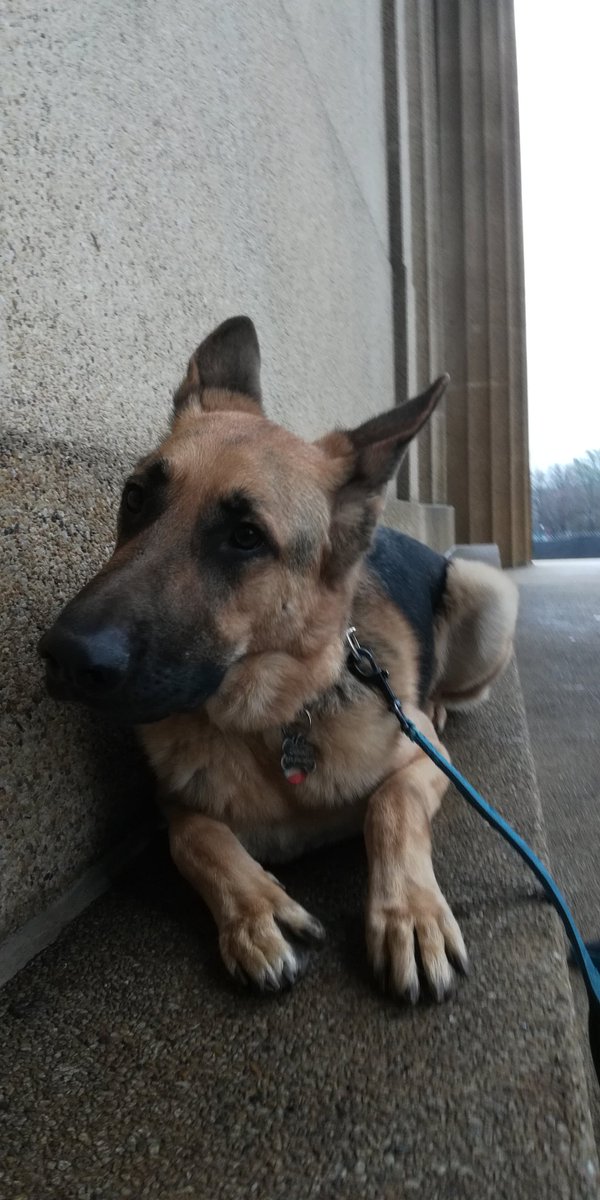 Brian_Ob5's tweet photo. Warm and rainy at the Parthenon https://t.co/HHeNFW1572