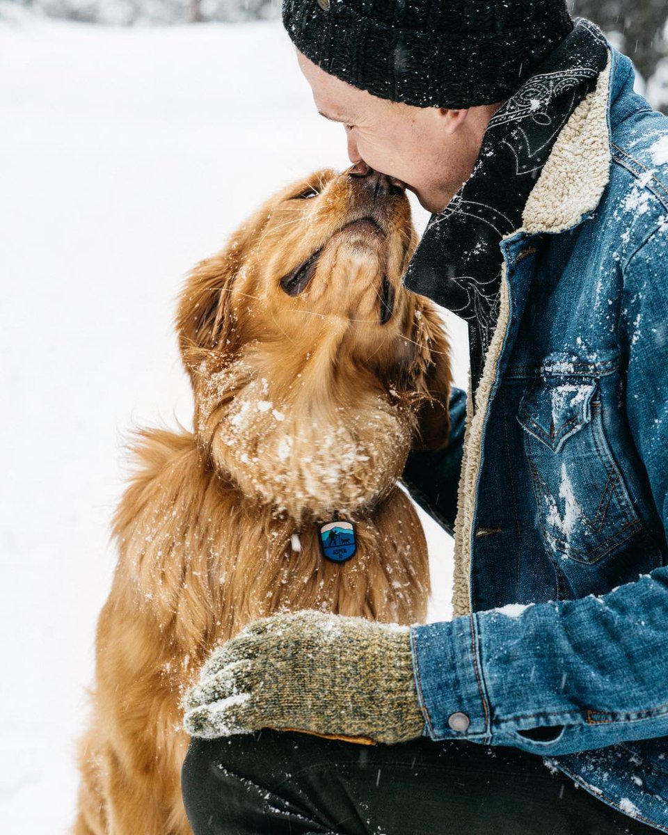 QALORing's tweet photo. We've got our New Year's Eve kiss lined up βοΈ#QALOdogs https://t.co/4SHntT61Ki