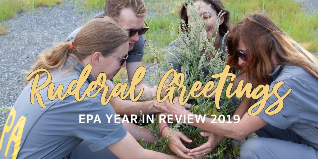 eirons's tweet image. "It Takes a Multispecies Community"-&amp;gt;Our end-of-year newsletter is out, looking back to ready ourselves for 2020's challenges🌱✨environmentalperformanceagency.com/epa-year-in-re… #environmentalperformanceagency