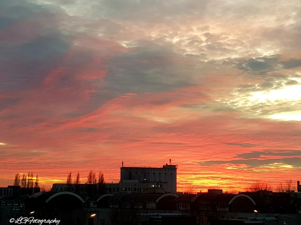 LindÆ 📷 tweet media