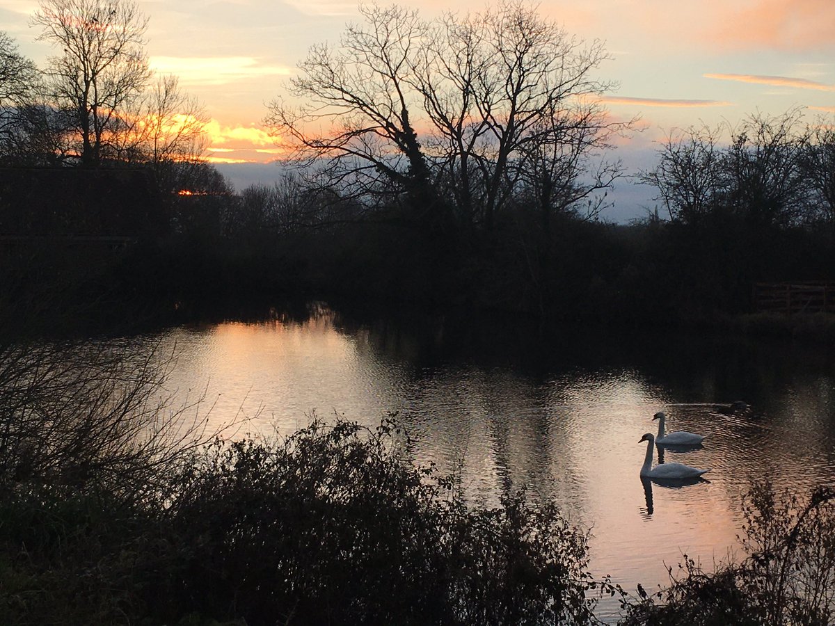 No1EstateBoss's tweet photo. #swanswan #sunset #sunday https://t.co/apg73IRn53