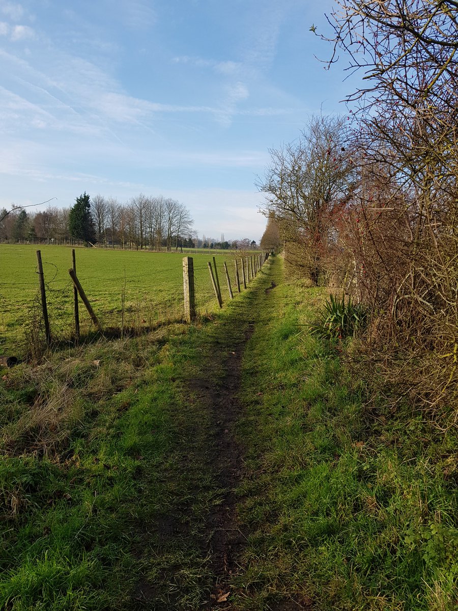 Clearing the cobwebs in today's sunshine #rambling #manorpark