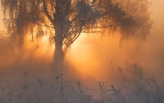 HeuerHeike's tweet image. Frieden mit Anderen, den wir uns so sehr wünschen fängt immer bei uns selbst an ... Einsicht nehmen, loslassen von Bewertungen und Vorwürfen, die Herz Energie sprechen lassen und dann einfach neu durchstarten ... 💫