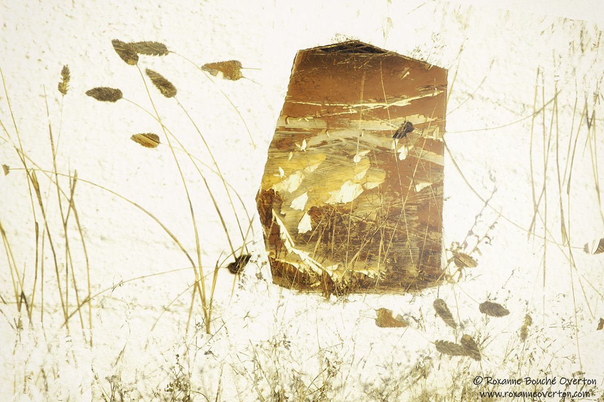 roxanne_overton's tweet photo. Twisting this way and that, the camera lays down layers of elements and light. https://t.co/4XCoITwuj0 #me #multipleexposure #sublimeframe #binded #abstractexpressionism #photography #photosofmylife #incameraeffects #potopainting #sonomacounty #grasses https://t.co/9lIBWxIVY1