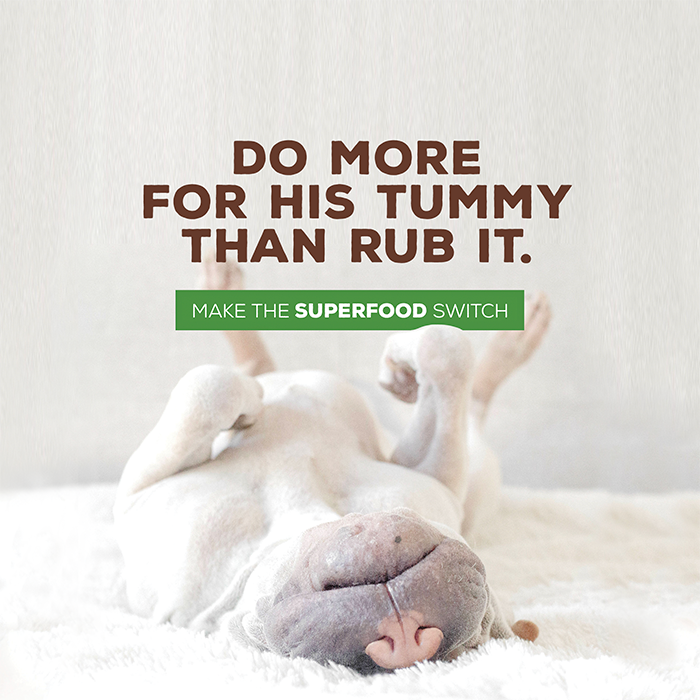 supremesource_'s tweet photo. Supreme Source grain-free recipes are packed with protein and powerful antioxidants that support the immune system and more! #AsRealAsCanBe https://t.co/YPwEPHfSCO