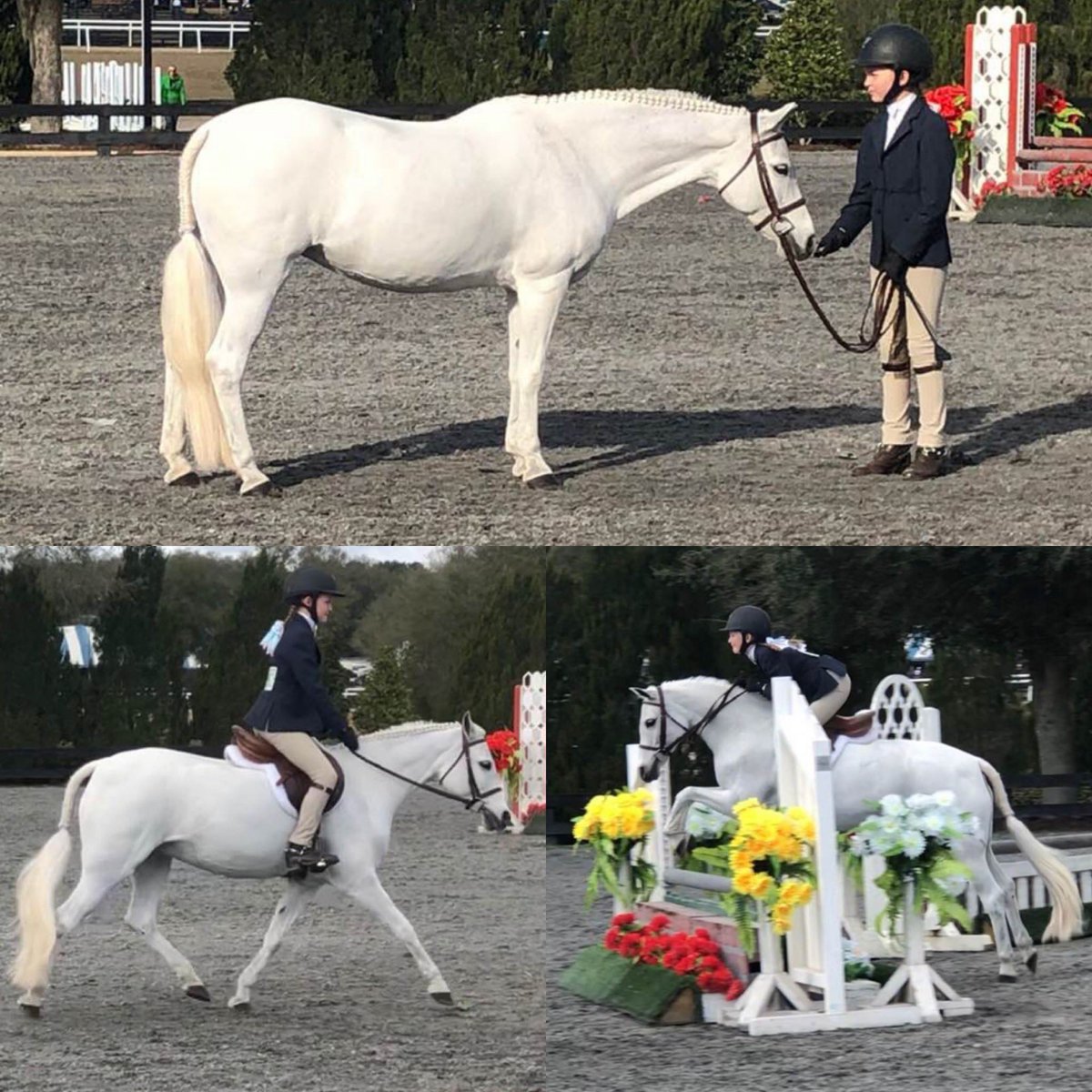 Emily Elek - 920-889-0028.