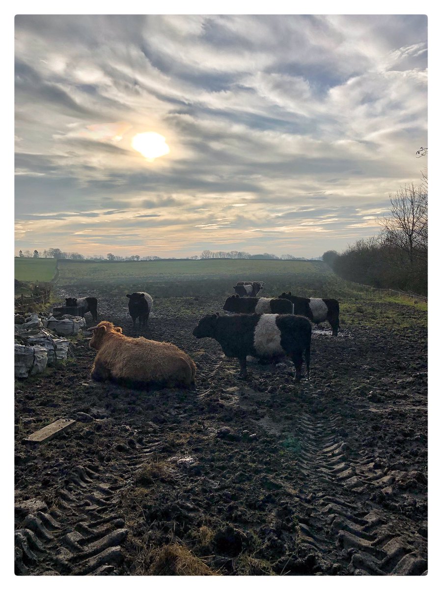 Gazdenwhitt's tweet photo. Saddleworth @ChadWeather @saddleworthlife @SaddleworthMag #farminguk #WeatherView #ebike #SundayMorning https://t.co/dWJzX0OqLM