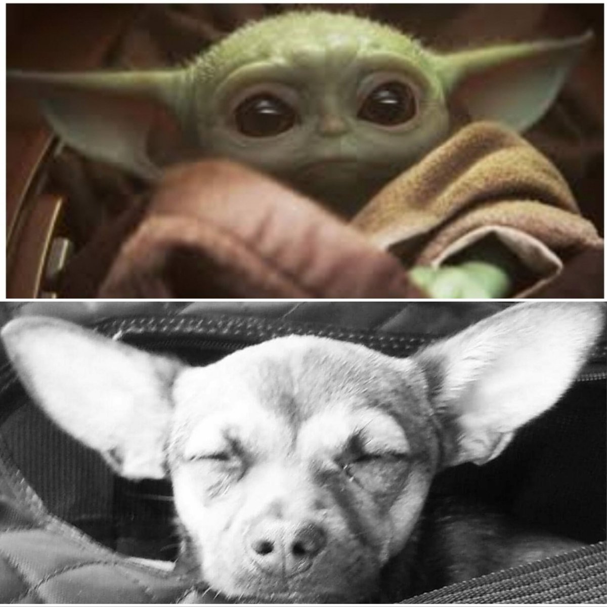 LCDCJen's tweet image. #BabyYoda