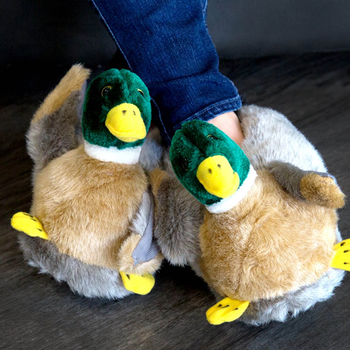 bird feet slippers