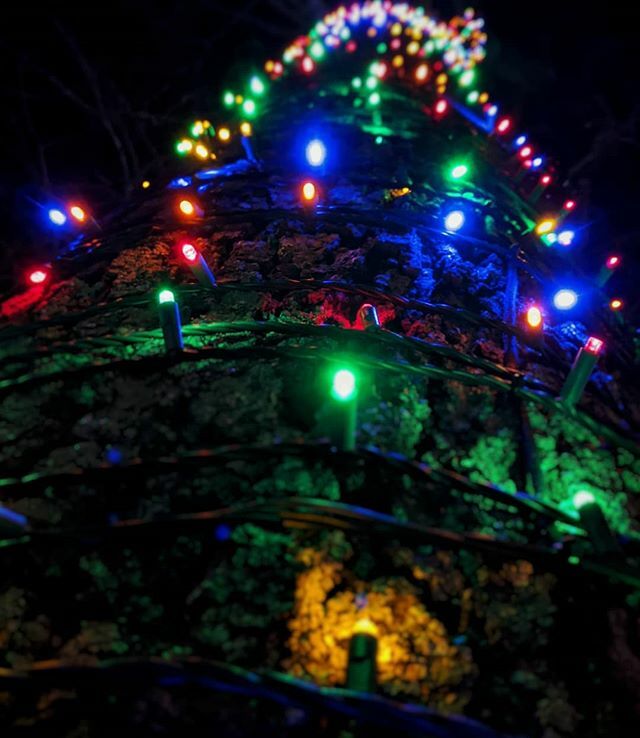 GeekEngineering's tweet photo. Six Flags Holiday in the Park!
.
.
.
.
.
#christmas #merrychristmas #seasonsgreetings #holidays #sixflags #greatadventure #holidayinthepark #christmastree #tree #upatree #lights #christmaslights #decoration #decorations #colorful #shiny #bright #twinkle … https://t.co/lqFM9kCi6s https://t.co/aMVRdgvp3y