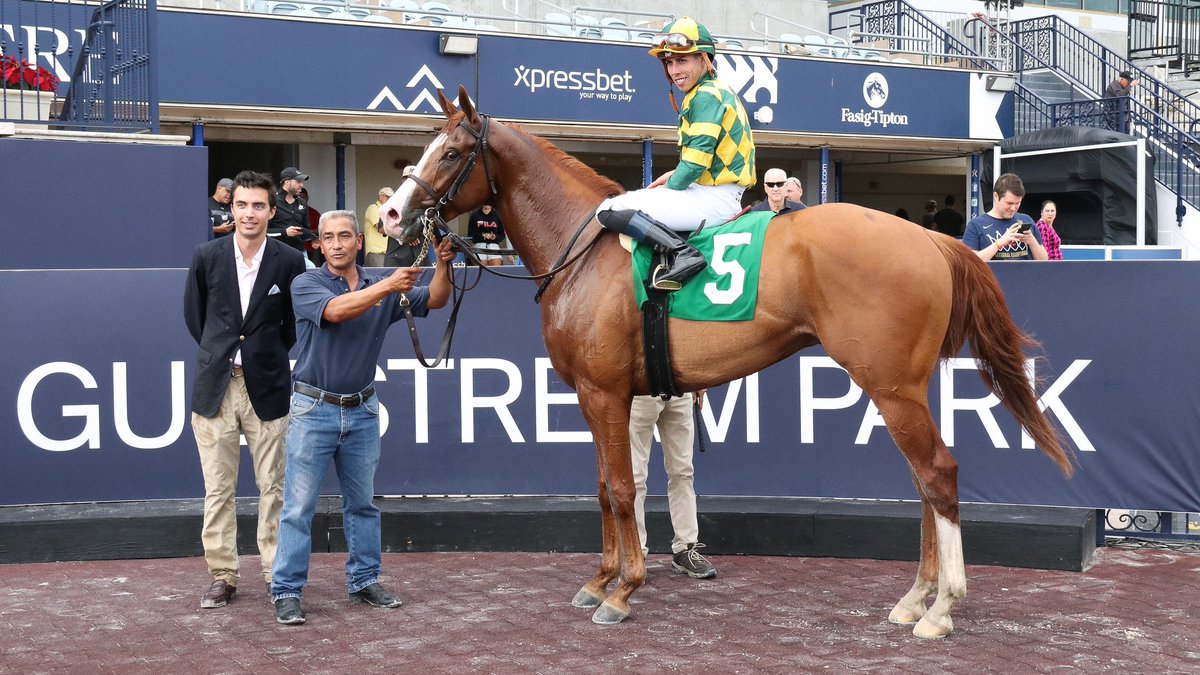 GulfstreamPark's tweet photo. Gufo outfinishes Voodoo Zip to win race 3, @iradortiz in the stirrups for trainer @clementstable. #GulfstreamPark #ChampionshipMeet https://t.co/VS54weK4ze