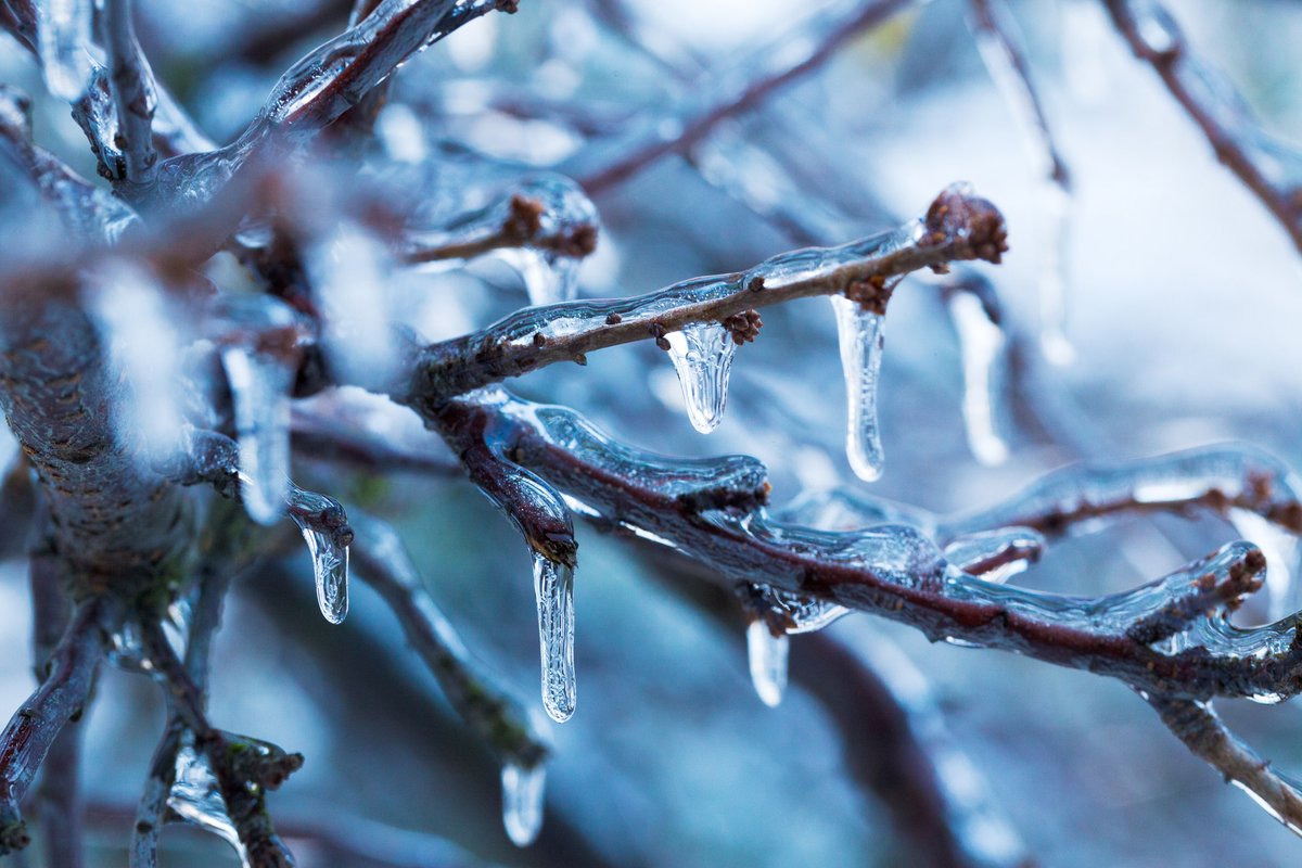 A freezing rain warning has been issued for @ptbocounty If you don't h...