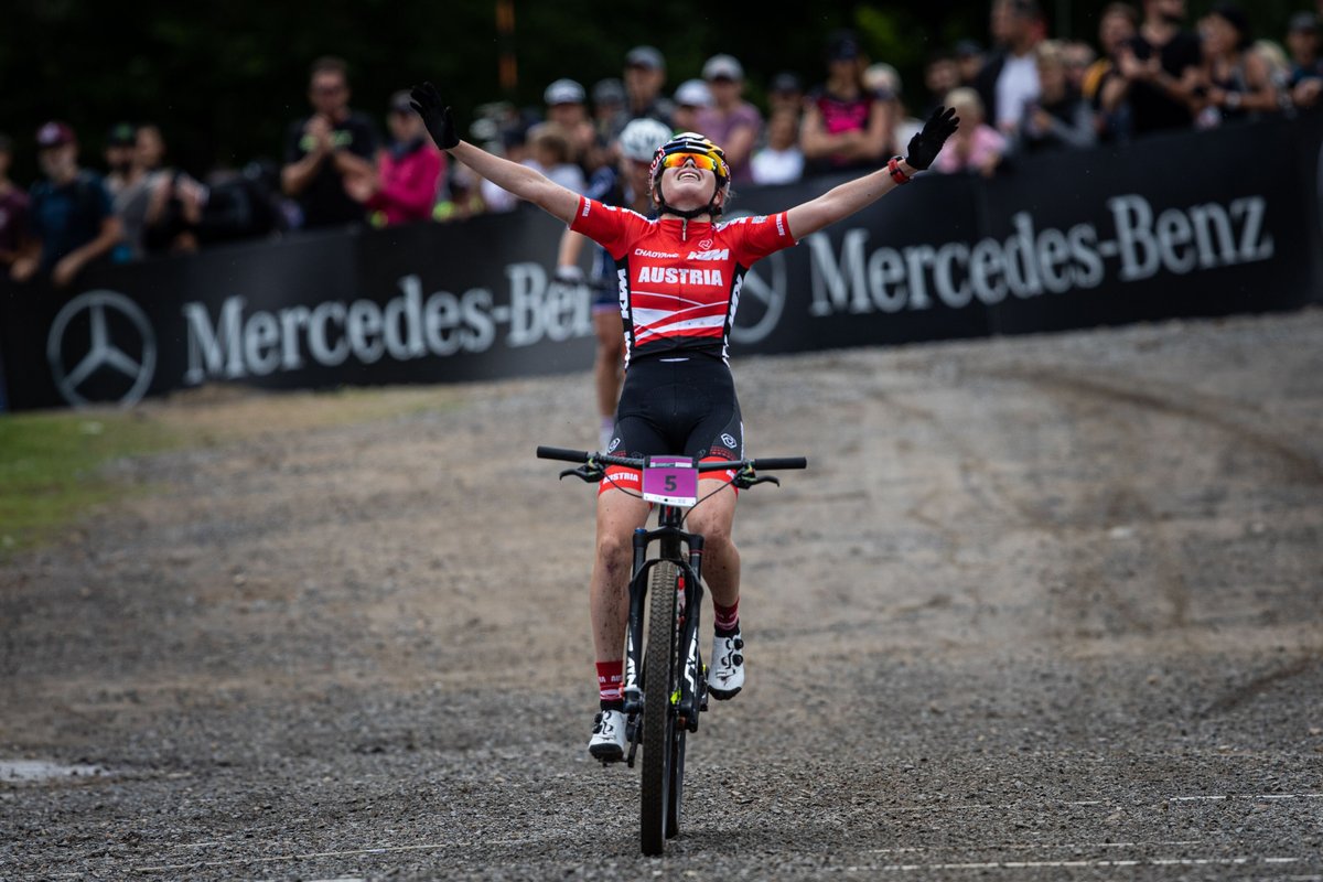 Specialized tweet media