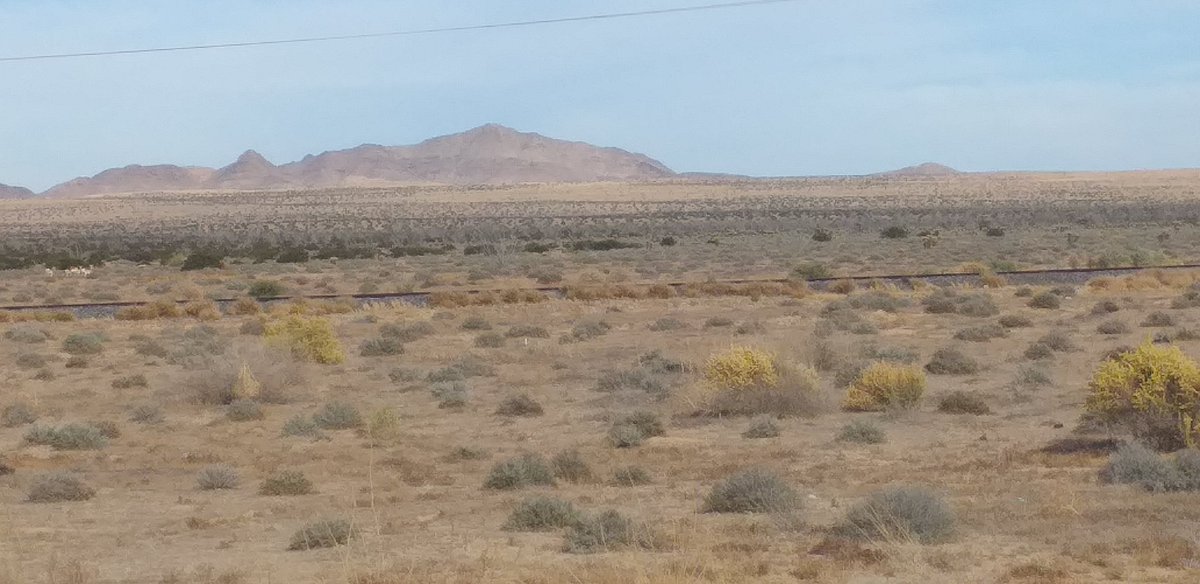 For Sale 15,000 Acres Land, 60 miles from Arizona USA, Ideal for  Green Energy at Mexico Puerto Peñasco Sonora, Top Region for #RenewableEnergy ( Inf. Cel 638 105 87 12) #USAenergy  #ChinaEnergy  #India  #IndiaEnergy  #solarpower   #GreenEnergy #MexicoEnergy @RajKSinghIndia