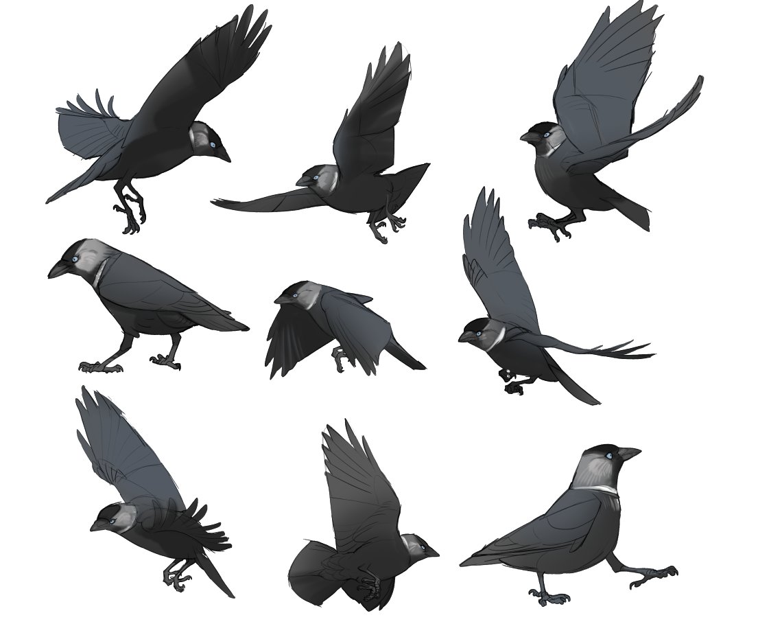 Drawing Sketch Flying Black Crow White Stock Illustrations – 626 Drawing  Sketch Flying Black Crow White Stock Illustrations, Vectors & Clipart -  Dreamstime