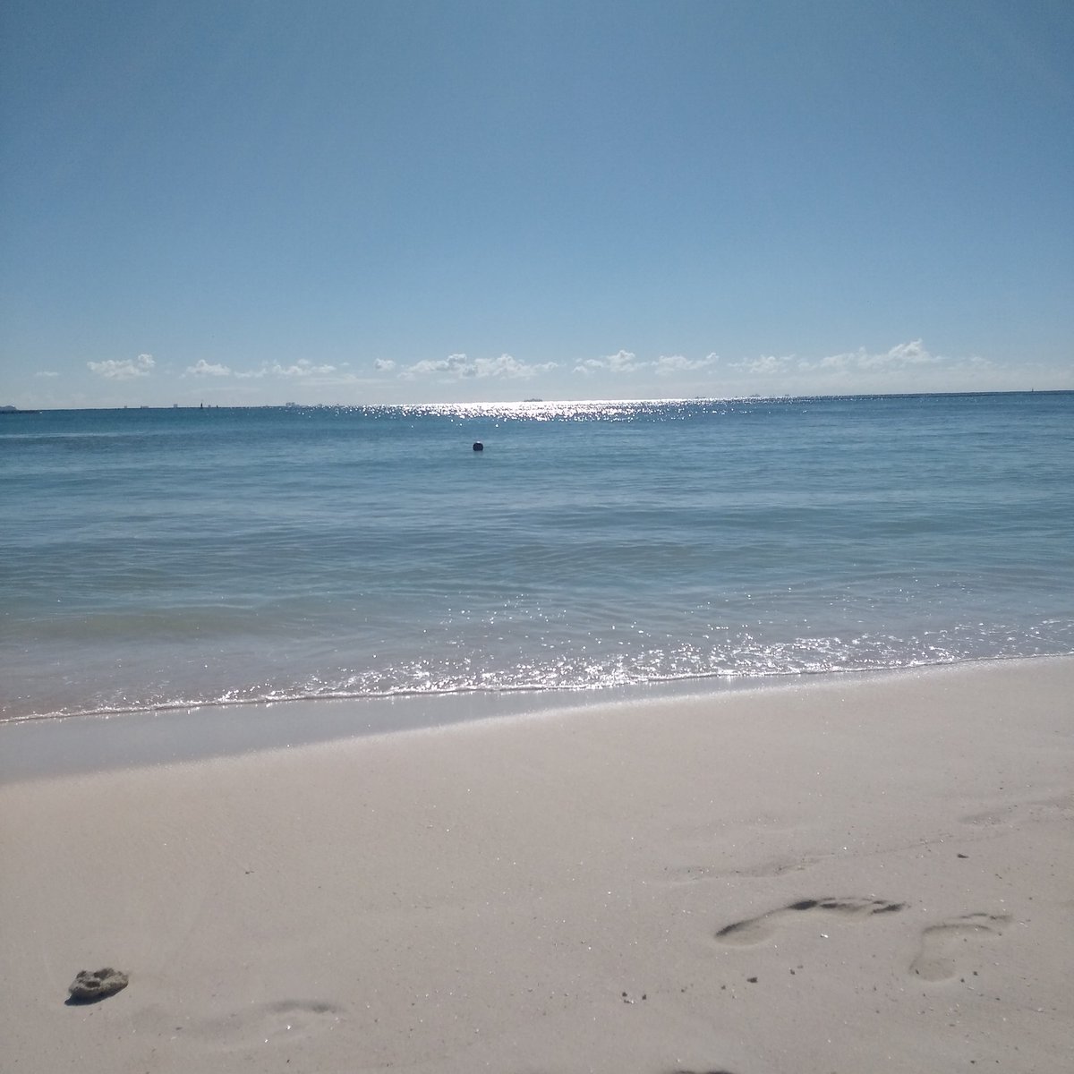plutodive's tweet photo. Let's go diving! https://t.co/uRwFmqHMJi