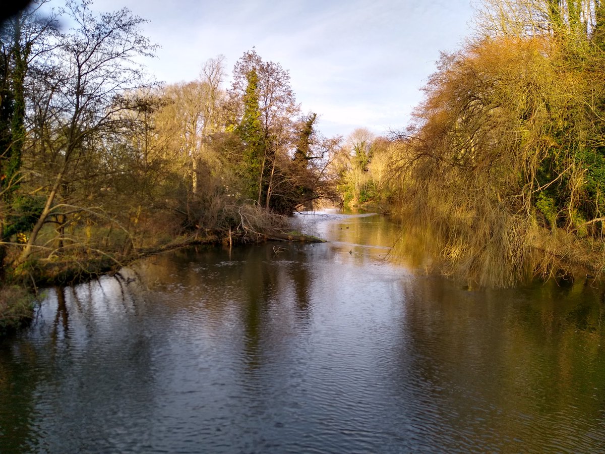 dowle_jo's tweet image. #ReThinkHS2 #StandForTheTrees 
A great turnout at Denham, Bucks today. Great company (Sian, Polly, John &amp;amp; new friends met en route). Please @GrantShapps @ZacGoldsmith think again.
