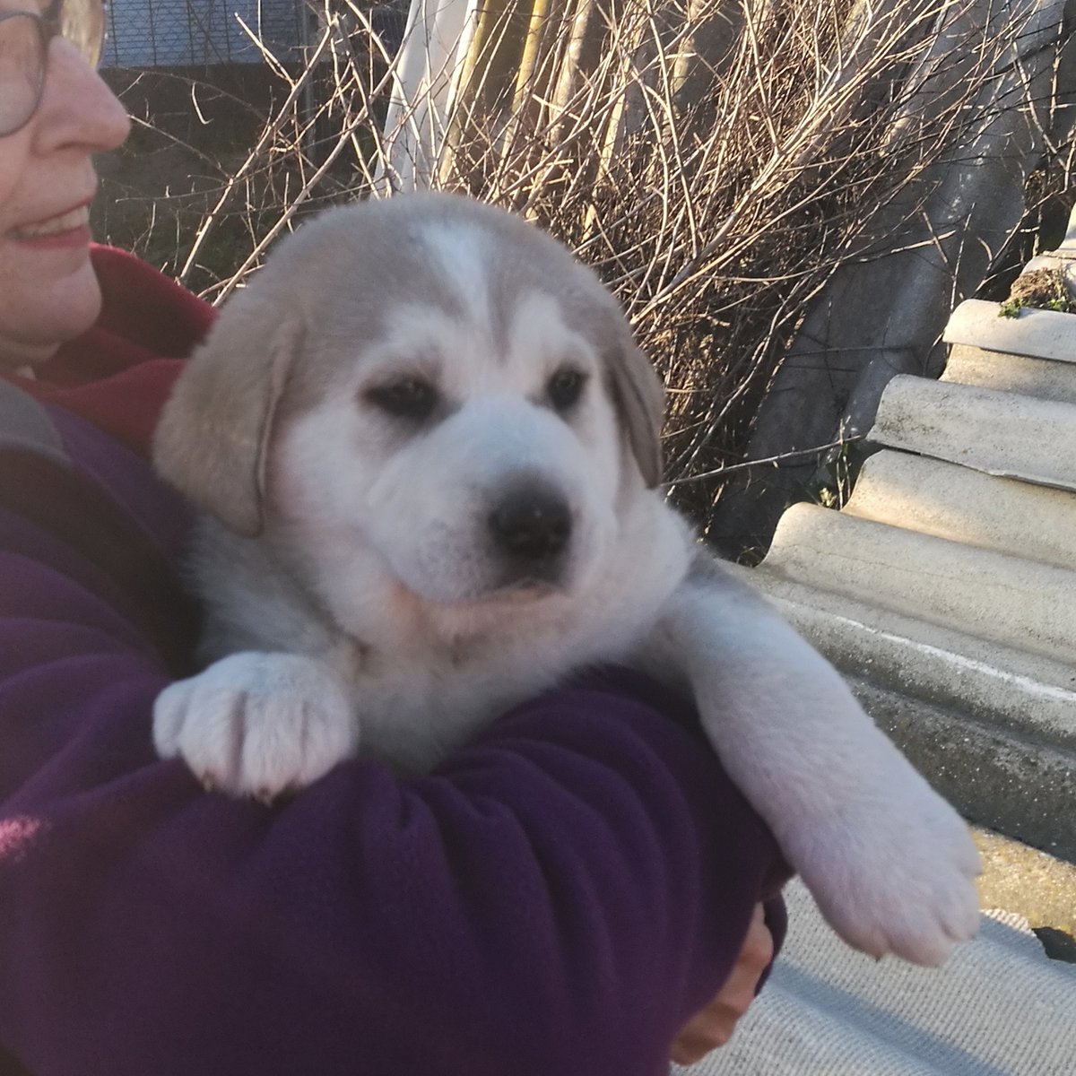 Esta es la hija de Lola se llama Nala!