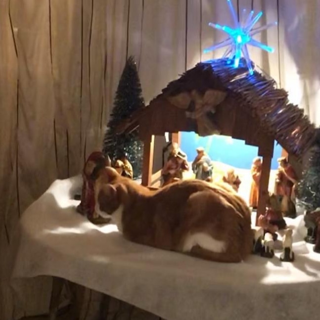 f_hoekstra tweet media