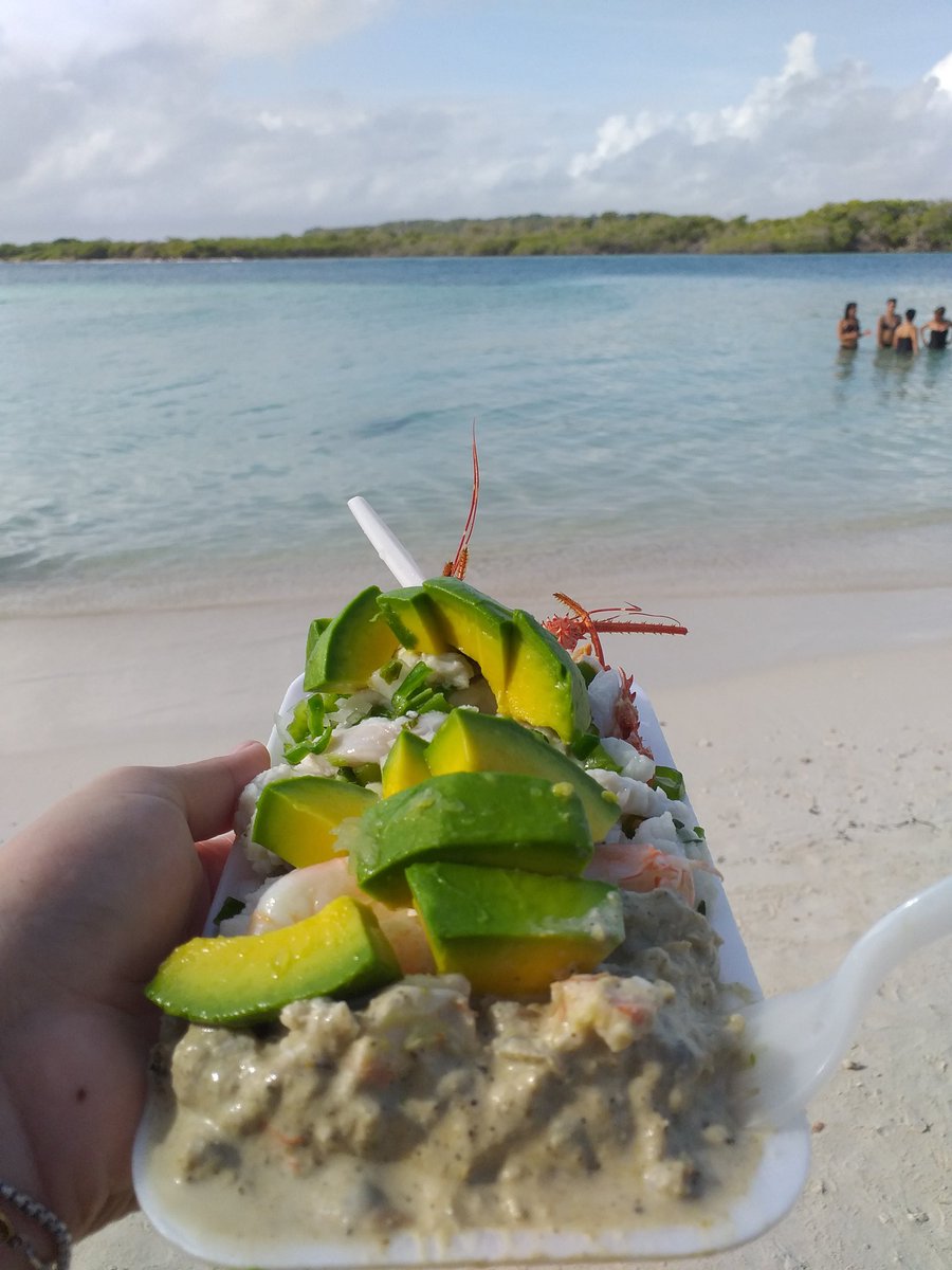 Un plato con especies marinas, tipo ceviche venezolano, una langosta  pequeña, pudín (un compuesto de chipi chipi), camarones y aguacate, tiene  un costo de 15$., image size:900x1200