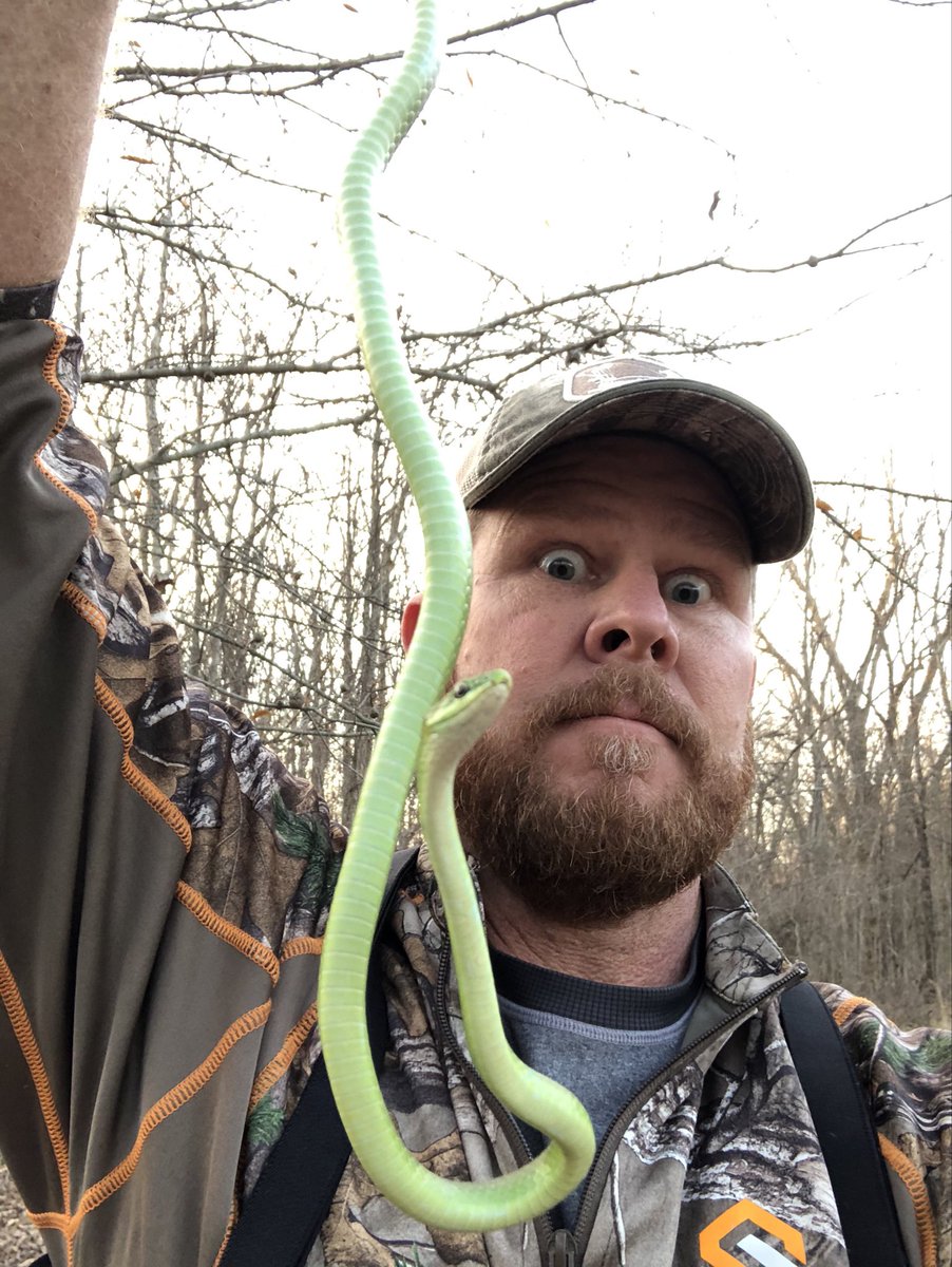 Andrew Duff tweet media