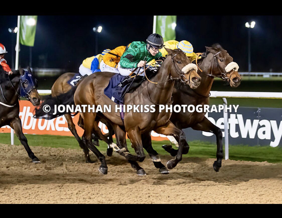 DaveLoughnane_'s tweet photo. Kaser powers home from last to first under a perfectly timed ride from @RKingscote @WolvesRaces winning the last race of 2019 at the track!! A Massive well done to his owners and all the team.! #Gameastheycome #38andcounting #GetInvolved @jdavelowe https://t.co/0WBwRPLriD