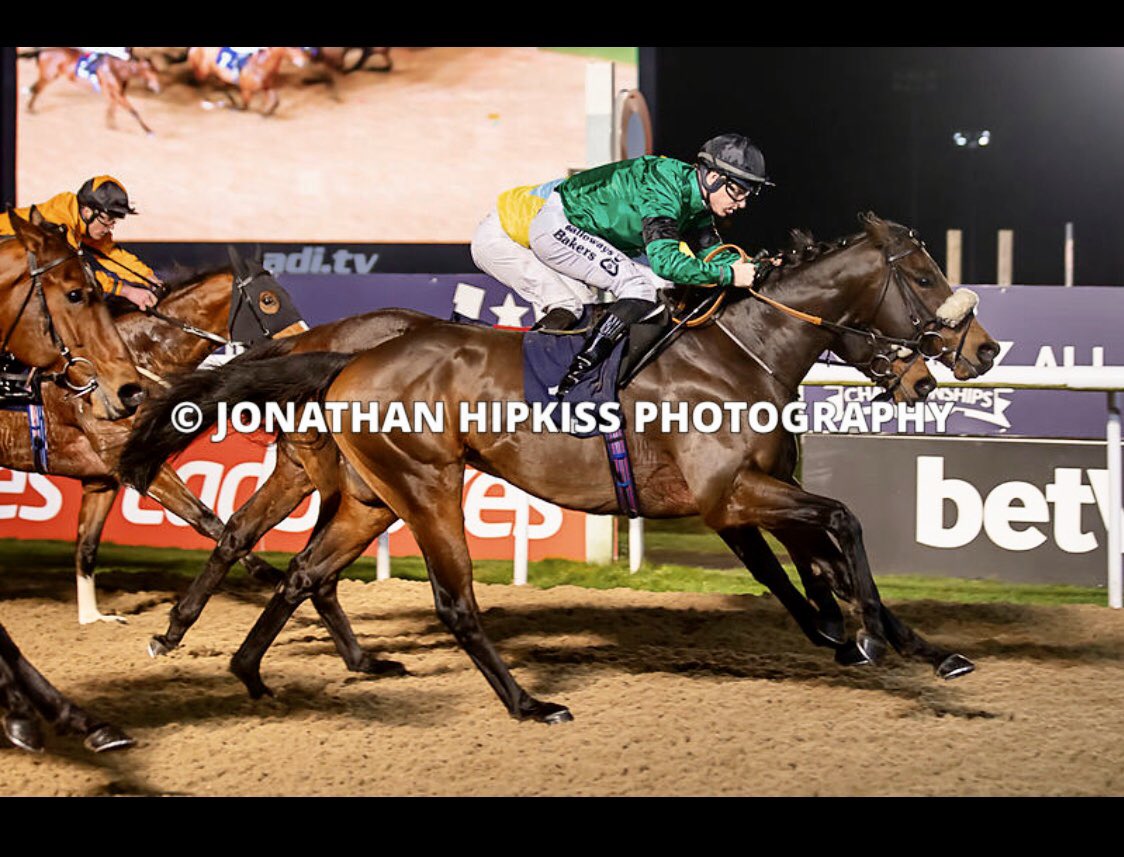 DaveLoughnane_'s tweet photo. Kaser powers home from last to first under a perfectly timed ride from @RKingscote @WolvesRaces winning the last race of 2019 at the track!! A Massive well done to his owners and all the team.! #Gameastheycome #38andcounting #GetInvolved @jdavelowe https://t.co/0WBwRPLriD