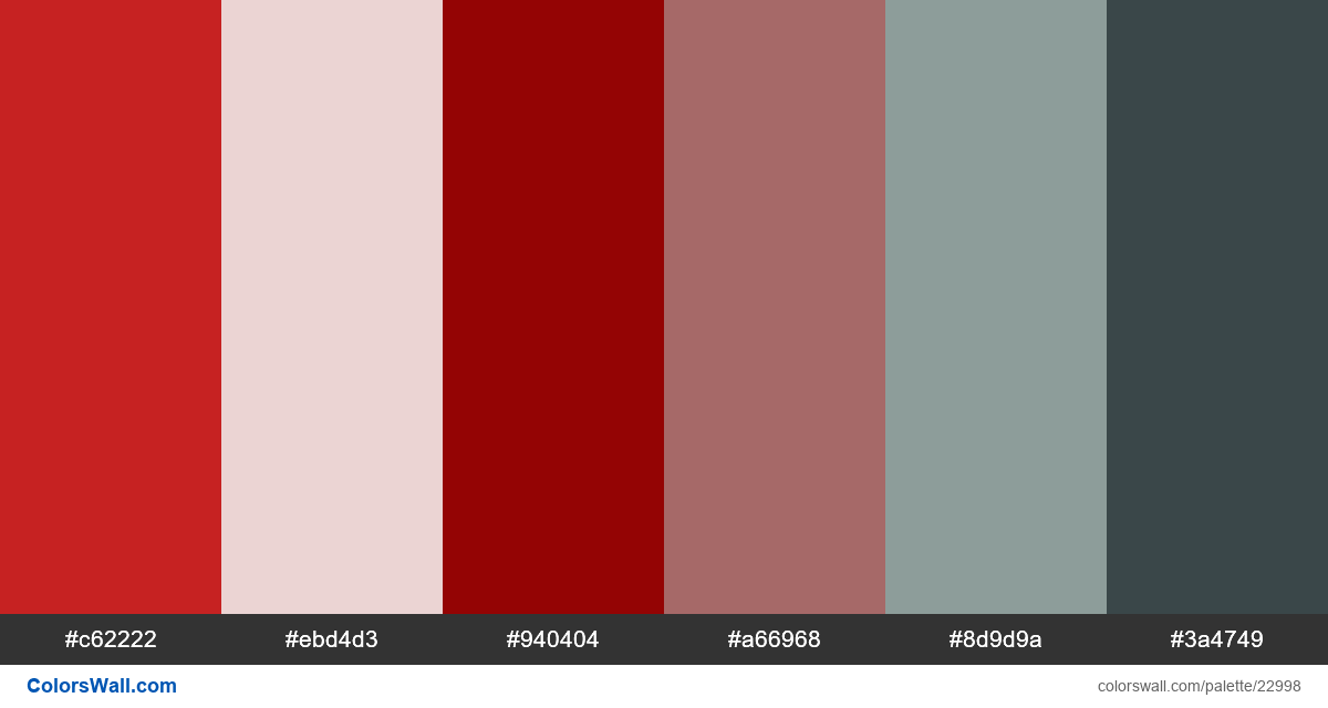 Netflix Colors - Hex and RGB Color Codes