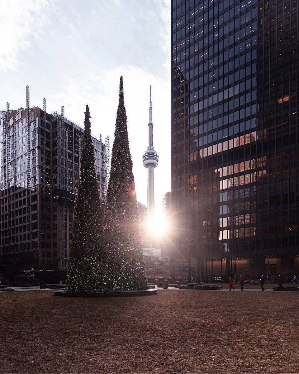 LOYALtoaTEE's tweet photo. Happy holidays from our family to yours π #LOYALtoTORONTO https://t.co/LiynG6hnjL