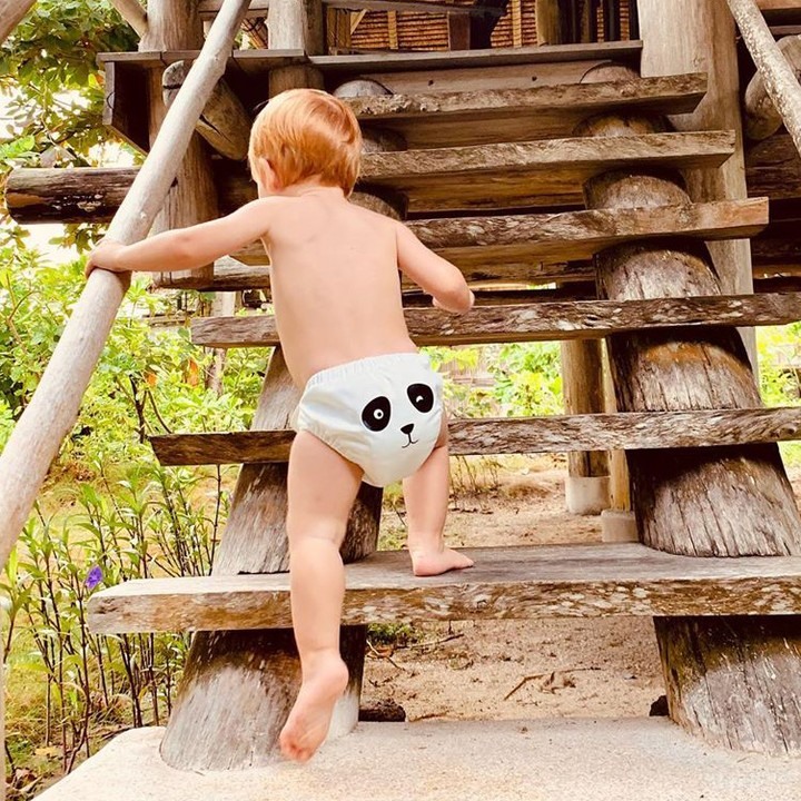 Funswimfunswim's tweet photo. Charlie Banana All In One Pocket Diaper now available in the Panda White design  @Funswimfunswim  https://t.co/stbRPA7Tcs #ecofamily #ecoparenting #waronplastic https://t.co/2O4Vog1OeK