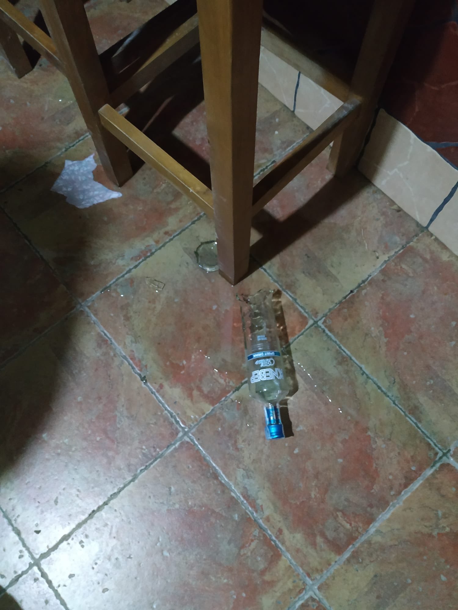シルベストレ Nos Hemos Quedado Sin Cena シルベストレ Nos Hemos Quedado Sin Cena