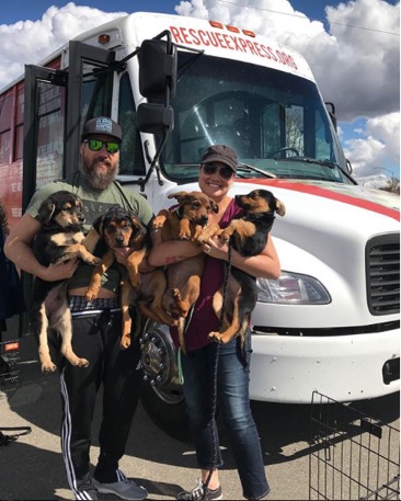 RescueExpress tweet media