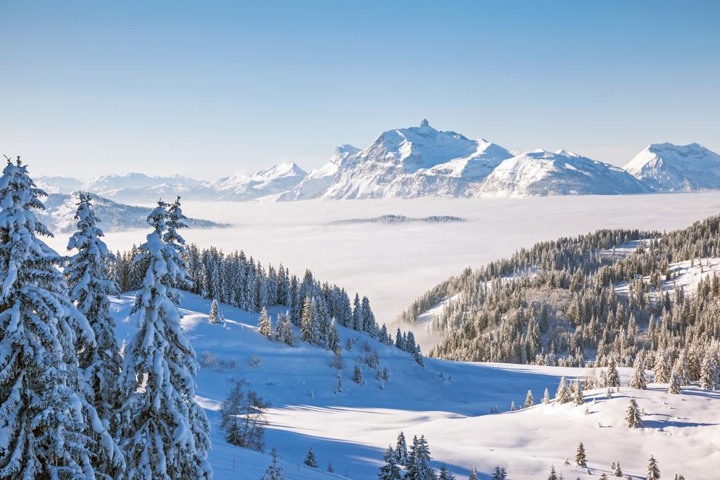 Skiing above the clouds 

#skiing #frenchalps #portesdusoleil #truestays