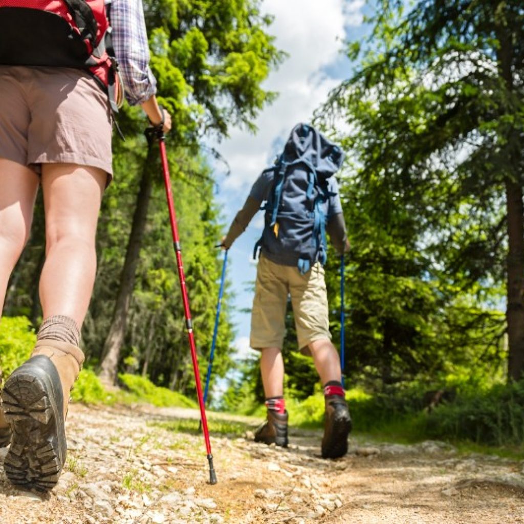 MileHiRafting's tweet photo. What to Pack for Your Next Hiking Adventure : Hiking in Colorado is a fantastic thing to do, and for all nature lovers, it is a great way to be in direct contact with mother nature. Also, hiking has the benefit of being a perfect exercise, and it is do ... https://t.co/KvtKNXN9nq https://t.co/XITGZpAgz5