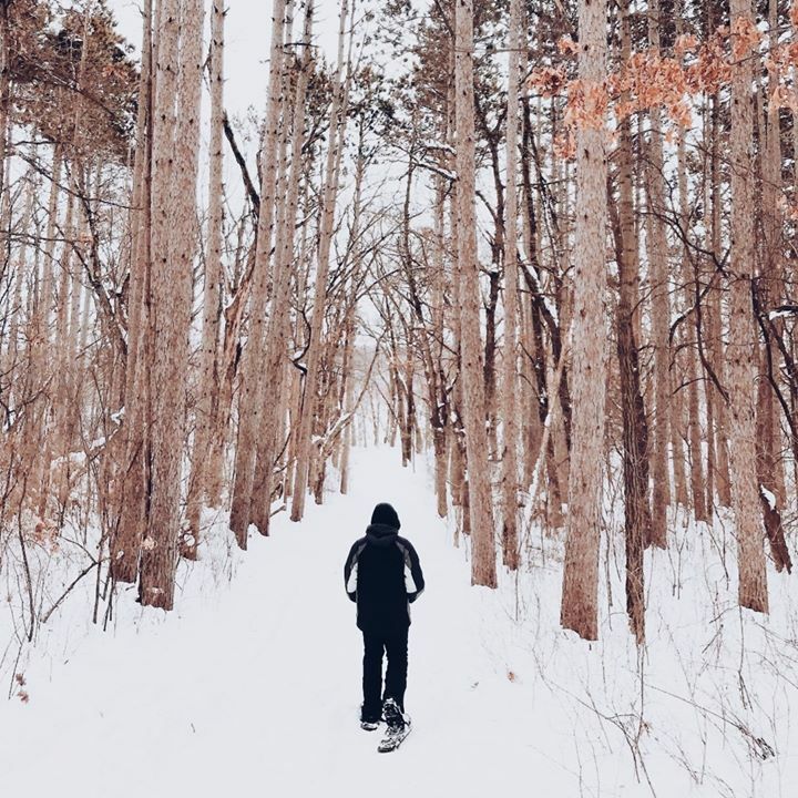 LarsmontCottage's tweet photo. 8 winter activities you can experience on Minnesota's North Shore this winter. #ChooseYourOdyssey
https://t.co/ePm3tgqDHb https://t.co/rovt3iQt1c