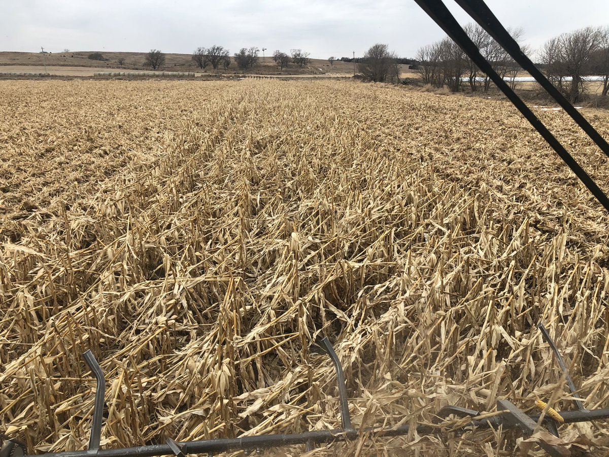 Obligatory last pass pictures. Not a moment to soon. #harvest2019