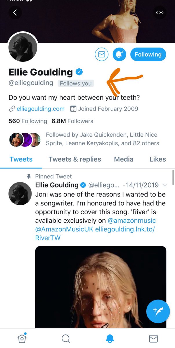 Hannah Dale tweet media