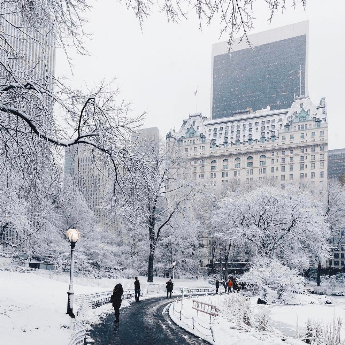 TheLoreCompany's tweet photo. While winter tends to keep us indoors, we should take mother nature’s winter gift of snow as an opportunity to have fun. Here are 5 winter activities you have to do in Central Park this upcoming season.

https://t.co/VRLPIHdkyv

#NewYorkCity #centralpark #cityguide #winter https://t.co/yhDrsdnh47