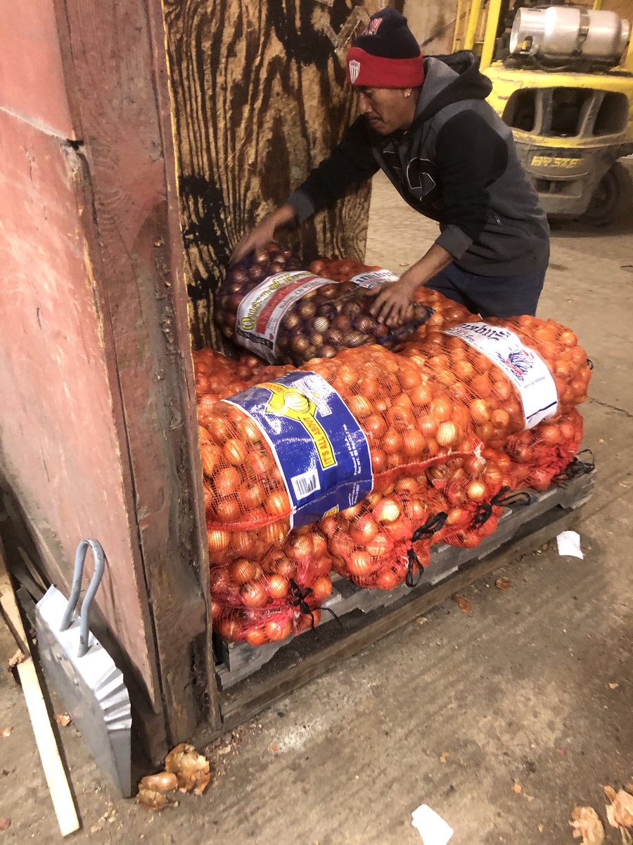 ChrisPawelski's tweet image. Today we are bagging smaller size onions. Won’t get much for them but at least they won’t go to waste. #onions #undersize #nowaste 3