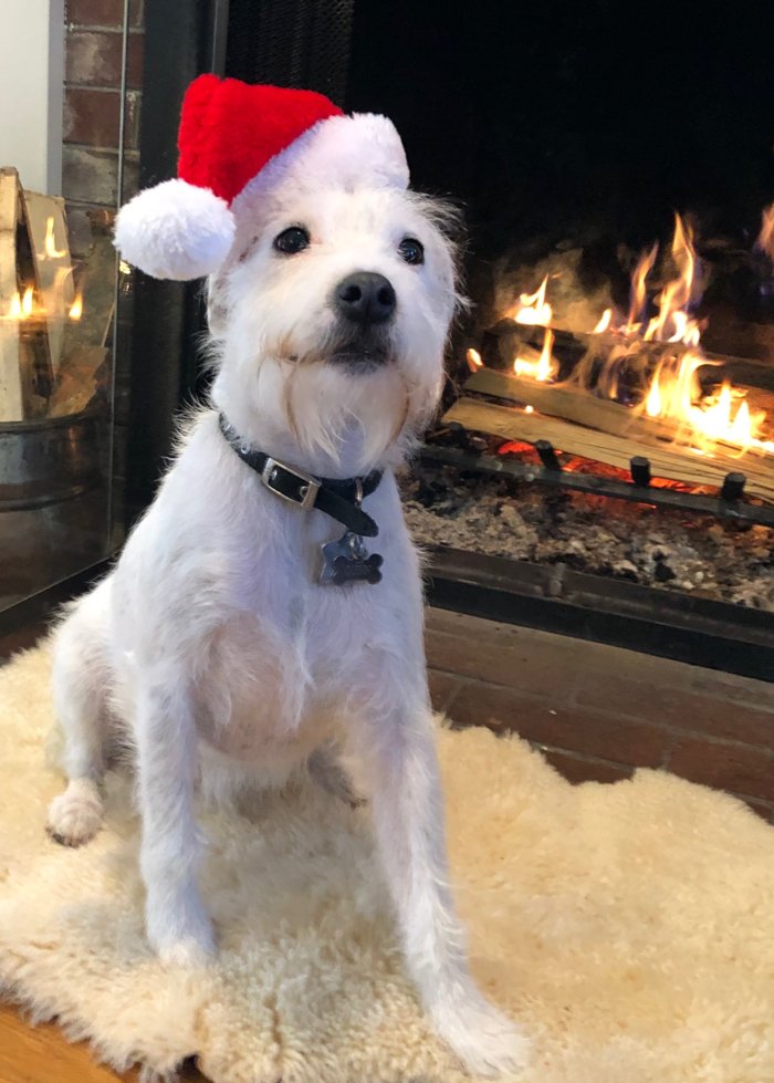 Happy holidays everyone. Here's hoping 2020 brings vision to our country.