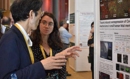ISPDHQ's tweet photo. Looking back on an incredible 2019 International Conference on Prenatal Diagnosis and Therapy and we can't wait for you to see what's in store for #ISPD2020! Join us in Monteal to share your science - abstract submission is open now! https://t.co/zwf3s4Lw5O https://t.co/fYE6VNIjPT