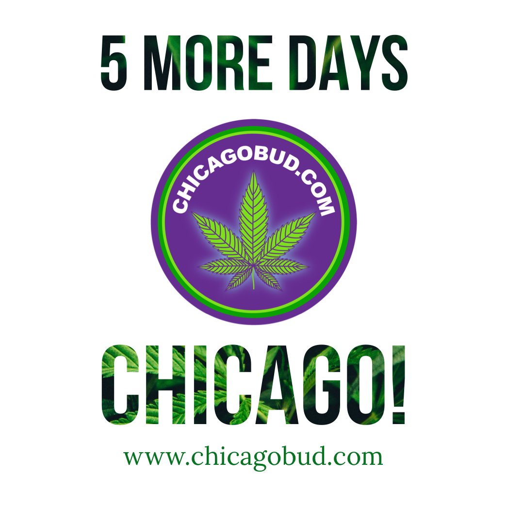 ChicagoPotSpot's tweet photo. Get ready to celebrate! 5 more days Chicago!  #chicagobud #chicagocannabis #illinoiscannabis #chicagocannabiscommunity  #chicagoweed #medicalmarijuana #cannabisculture #illinoismedicalmarijuana #illinoisdispensaries #illinoisdispensary  #420chicago #710chicago #chicago420 https://t.co/rDXYG5pOYj